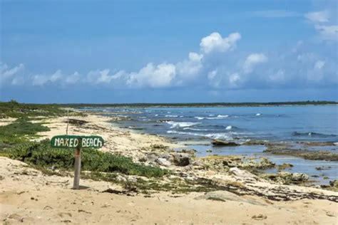 cozumel nude|Discover Cozumel's Best Nude Beaches .